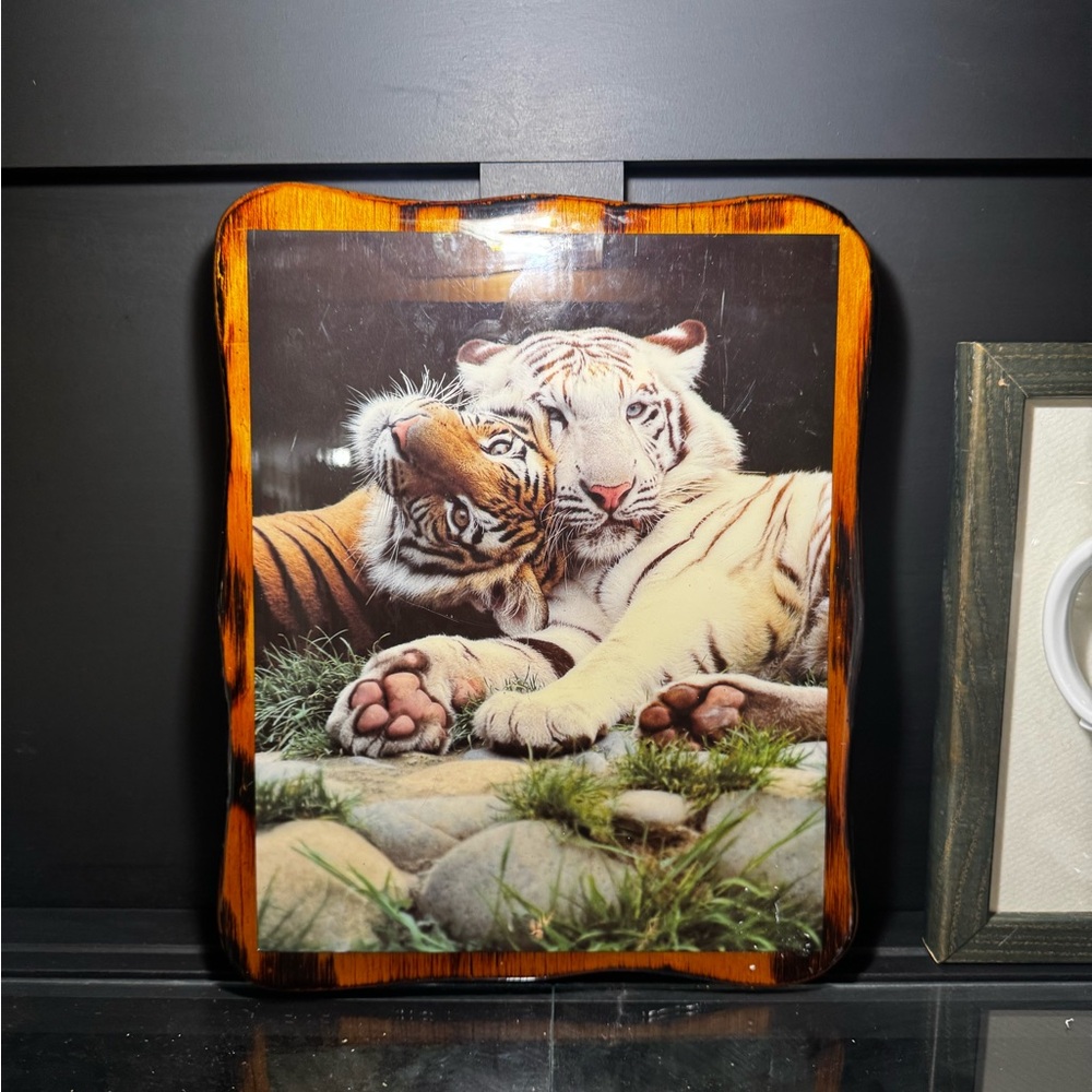 Tiger Print Wall Decor with Brown Frame